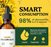 MULLEIN LEAF DROPPER 30 DAYS SUPPLY